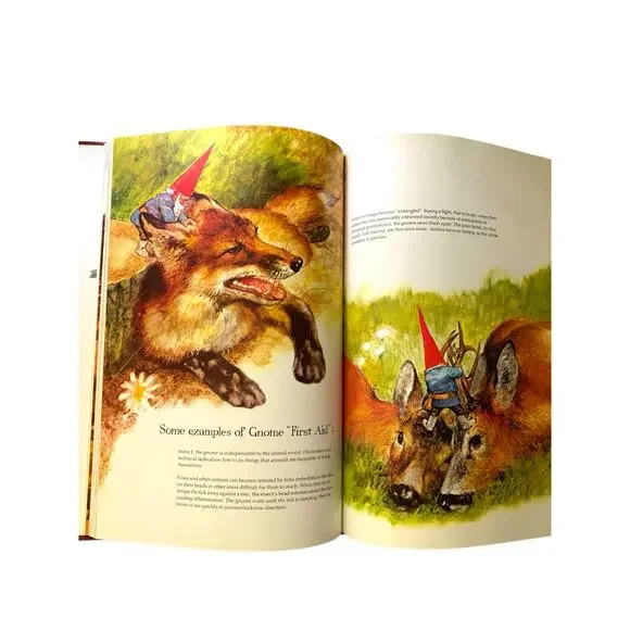 Gnomes First American Edition Hardcover with Dust Jacket 1977 - Picture 6 of 10